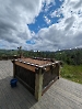 Ute_3